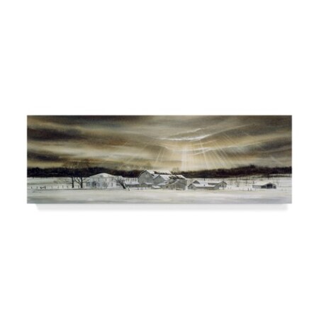 John Morrow 'The Eye Of Winter ' Canvas Art,10x32